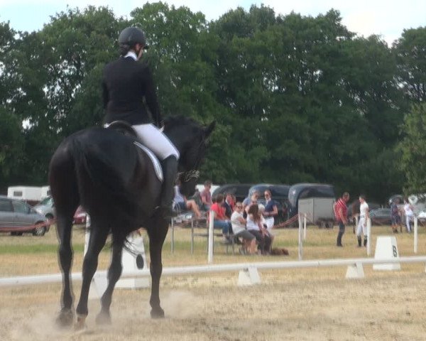 Reitturnier Wietmarschen 2018