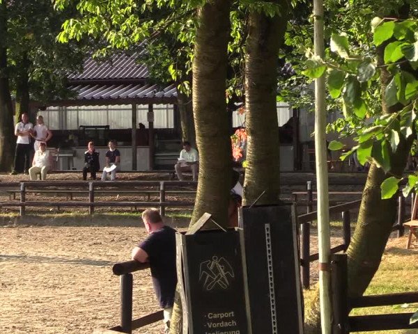 Reitturnier Marienheide-Kempershöhe 2018