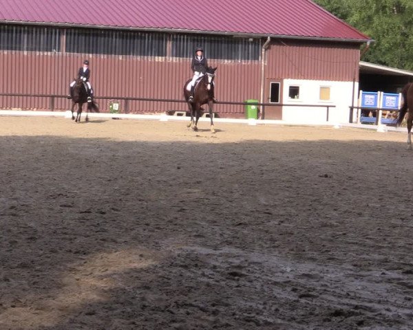 Reitturnier Marienheide-Kempershöhe 2018
