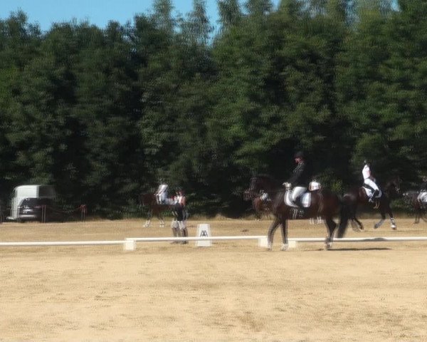 Reitturnier Wietmarschen 2018