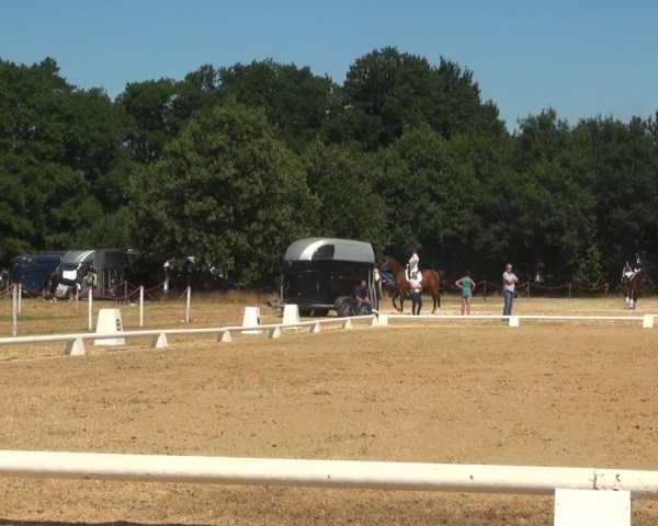 Reitturnier Wietmarschen 2018