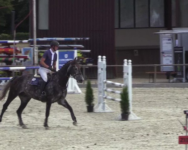 Reitturnier Wietmarschen 2018