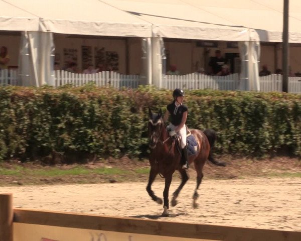 Reitturnier Vlotho-Exter 2018