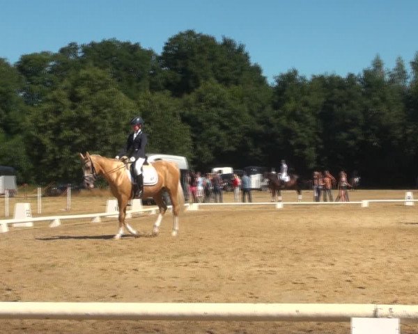 Reitturnier Wietmarschen 2018