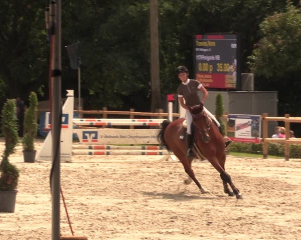 Reitturnier Vlotho-Exter 2018
