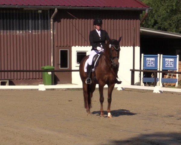 Reitturnier Marienheide-Kempershöhe 2018