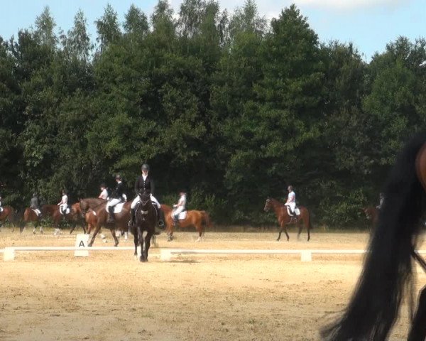 Reitturnier Wietmarschen 2018