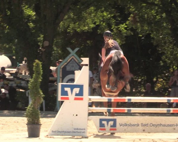 Reitturnier Vlotho-Exter 2018