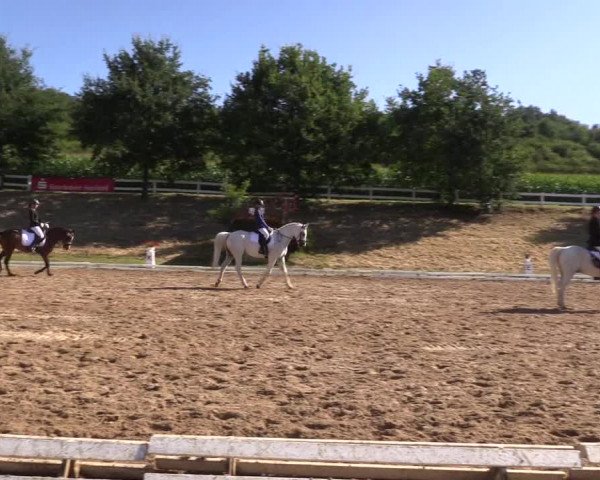 Reitturnier Vlotho-Exter 2018