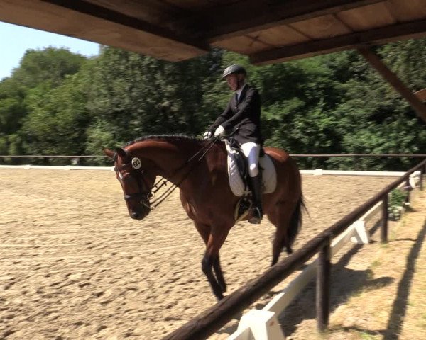 Reitturnier Marienheide-Kempershöhe 2018