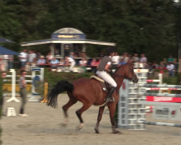Reitturnier Vlotho-Exter 2018