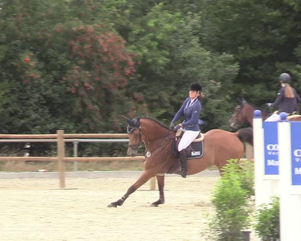 Reitturnier Wietmarschen 2018