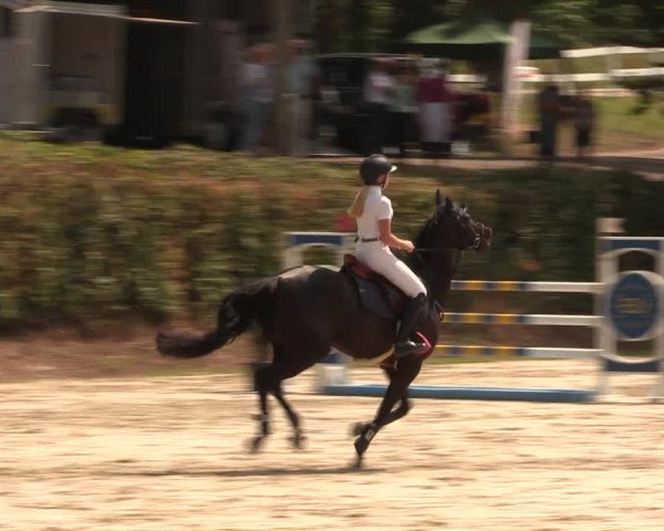 Reitturnier Vlotho-Exter 2018