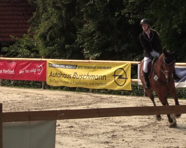 Reitturnier Vlotho-Exter 2018