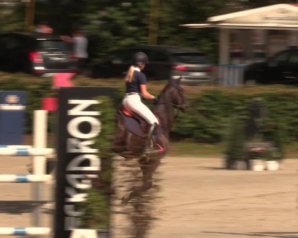 Reitturnier Vlotho-Exter 2018