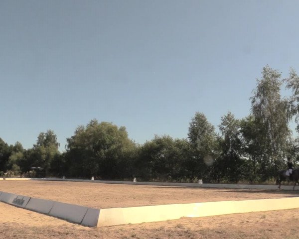 Rideturnering Wietmarschen 2018