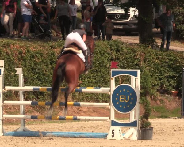 Reitturnier Vlotho-Exter 2018