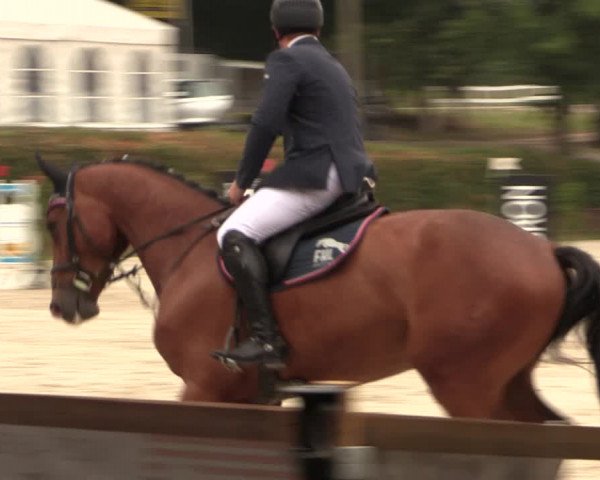 Reitturnier Vlotho-Exter 2018