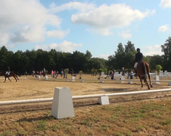 Reitturnier Wietmarschen 2018