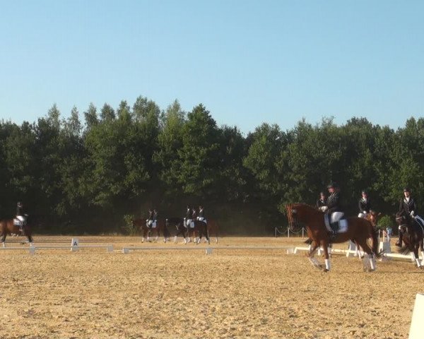 Reitturnier Wietmarschen 2018