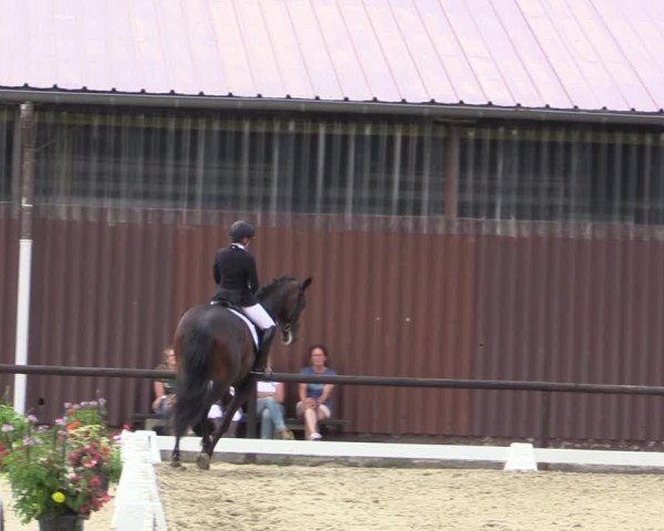 Reitturnier Marienheide-Kempershöhe 2018