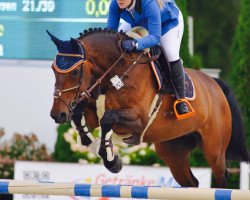 jumper Adlantus Joker (Hanoverian, 2000, from Adlantus As FRH)