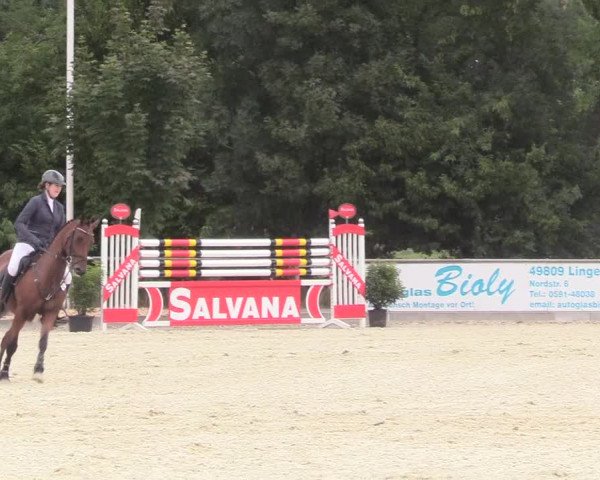 Reitturnier Wietmarschen 2018