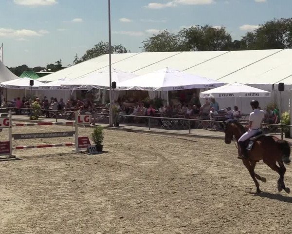 Reitturnier Wietmarschen 2018