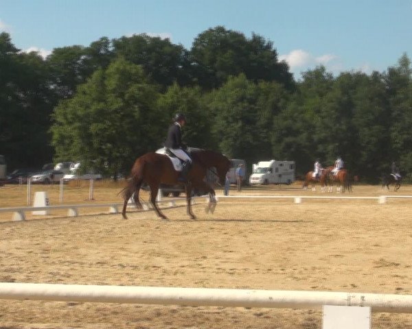 Reitturnier Wietmarschen 2018