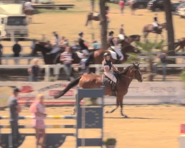 Reitturnier Letmathe 2018