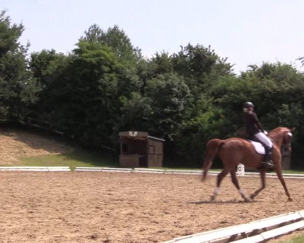 Reitturnier Vlotho-Exter 2018