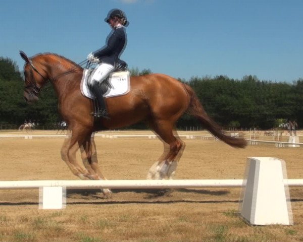 Reitturnier Wietmarschen 2018