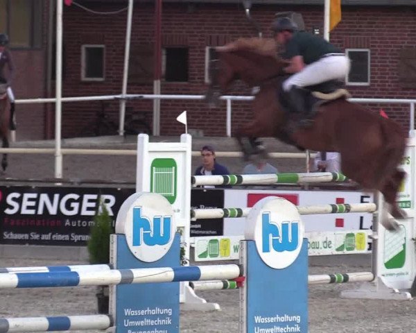 Reitturnier Wietmarschen 2018
