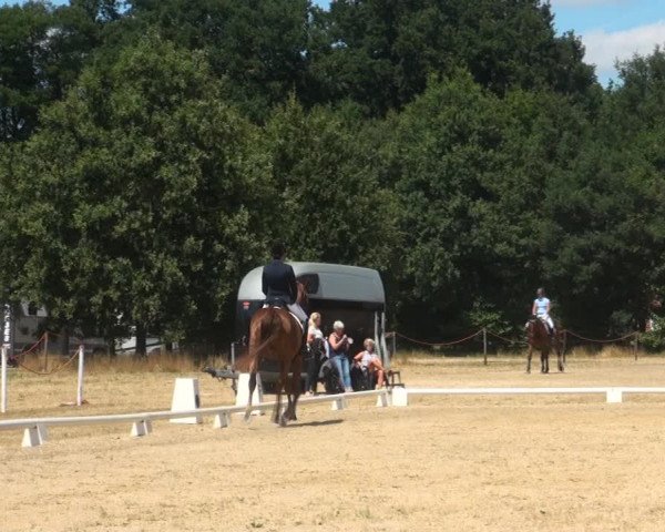 Reitturnier Wietmarschen 2018