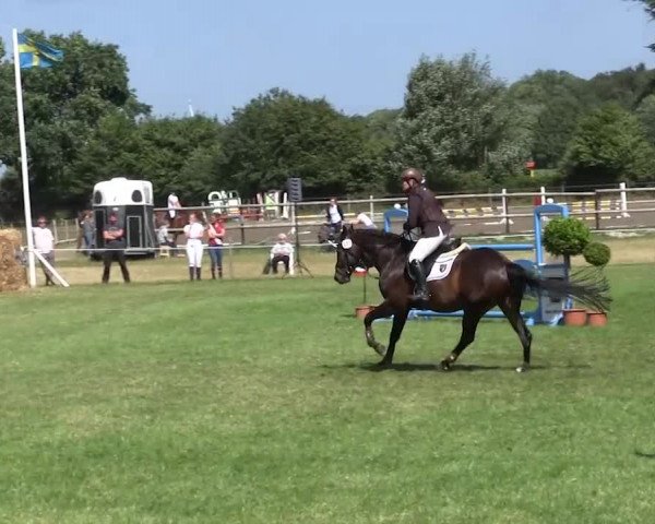 Reitturnier Hanerau-Hademarschen 2018