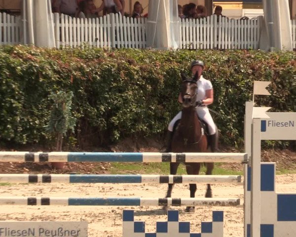 Reitturnier Vlotho-Exter 2018