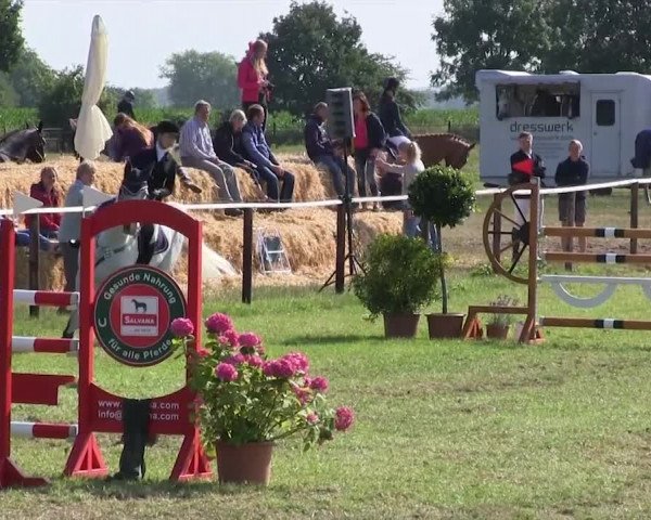Reitturnier Hanerau-Hademarschen 2018