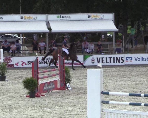 Reitturnier Wietmarschen 2018
