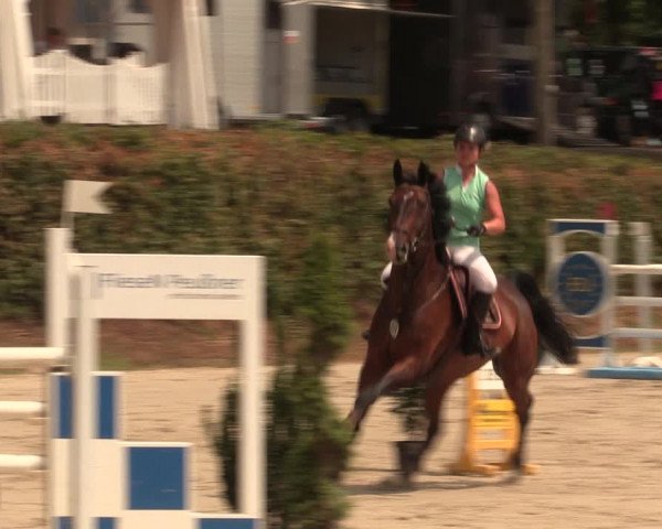 Reitturnier Vlotho-Exter 2018