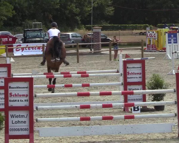 Reitturnier Wietmarschen 2018