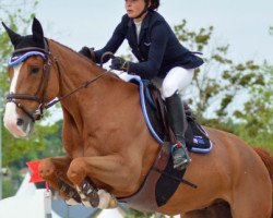 jumper Uyoucouncoun Hogue (Selle Français, 2008, from Diamant de Semilly)