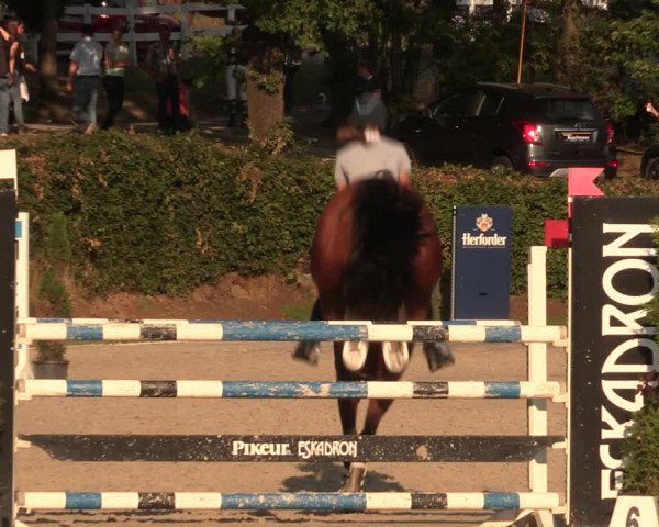 Reitturnier Vlotho-Exter 2018