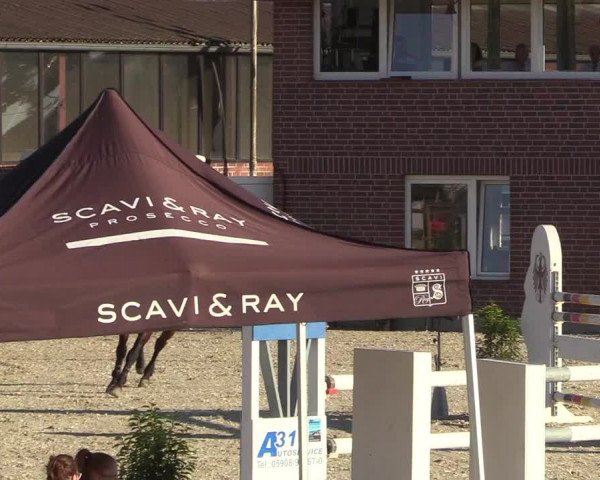Reitturnier Wietmarschen 2018