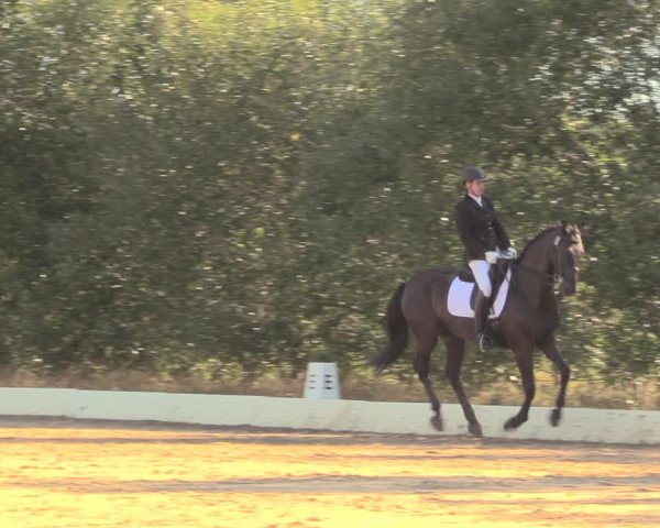 Reitturnier Wietmarschen 2018