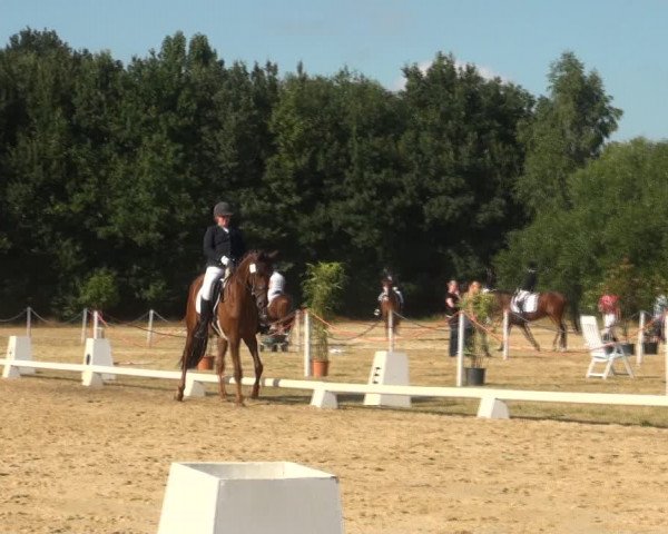 Reitturnier Wietmarschen 2018