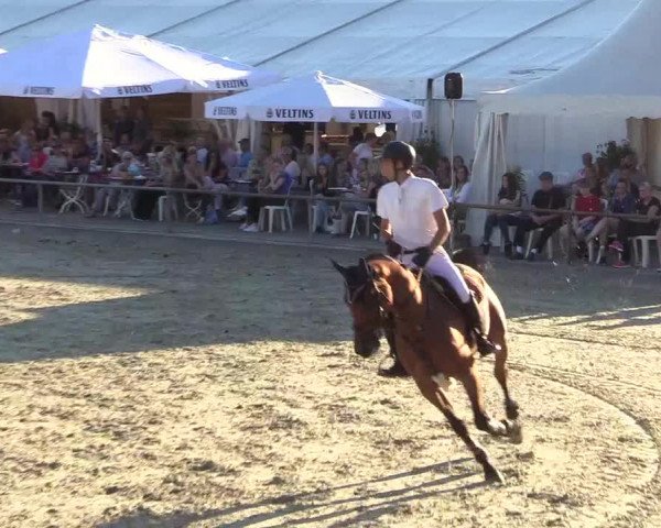 Reitturnier Wietmarschen 2018