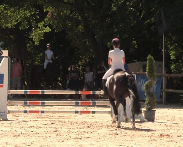 Reitturnier Vlotho-Exter 2018