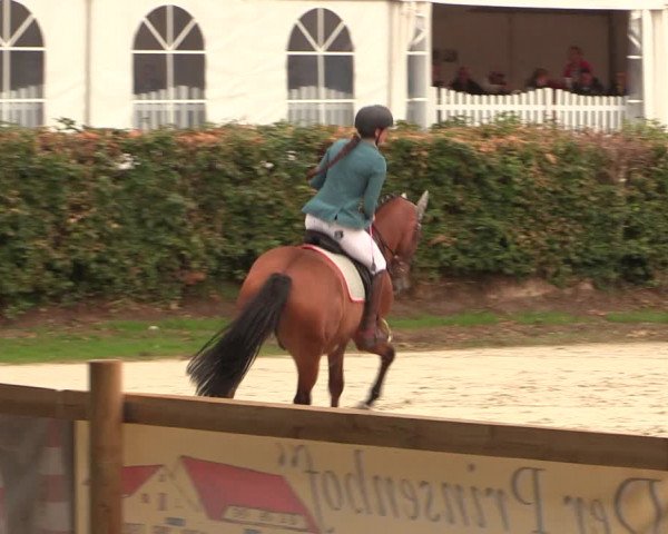 Reitturnier Vlotho-Exter 2018