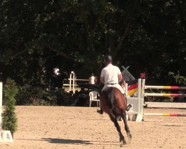 Reitturnier Vlotho-Exter 2018