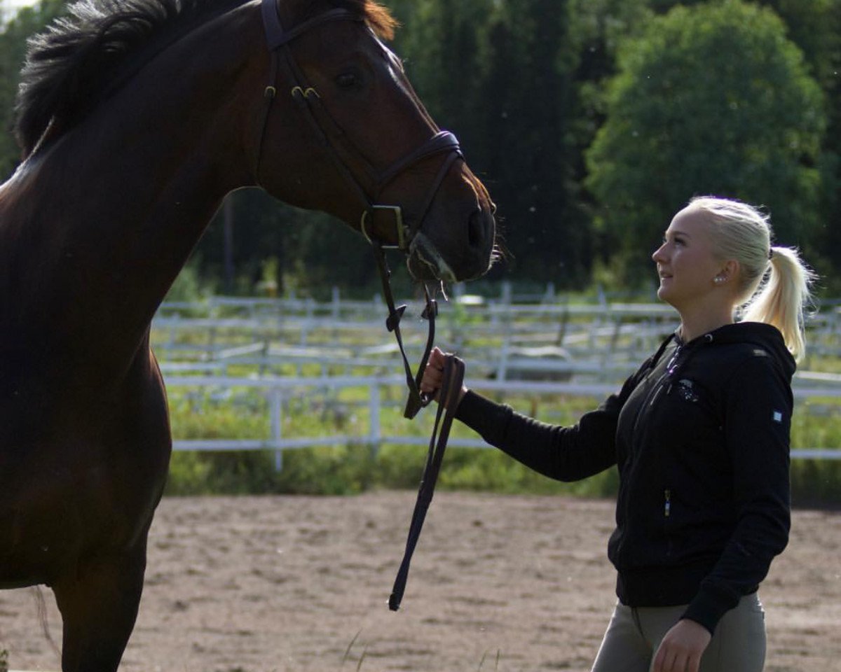 Cavallo da salto Cosimo M (Hannoveriano, 2009, di Cosinhus)